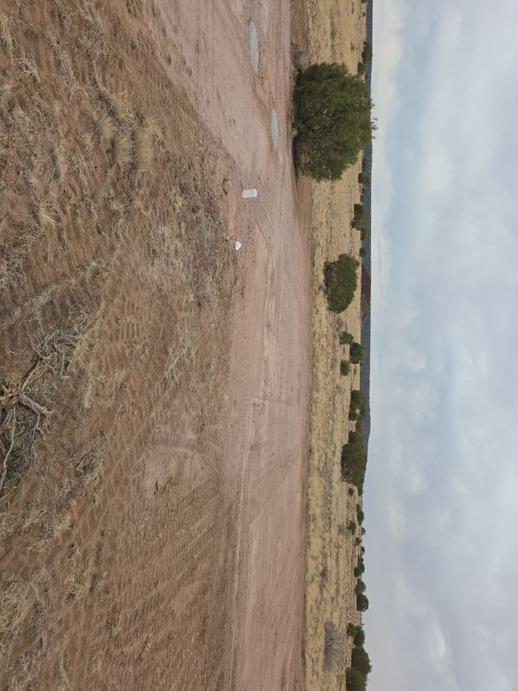 Desert landscape with sparse vegetation and tire tracks, under overcast sky.