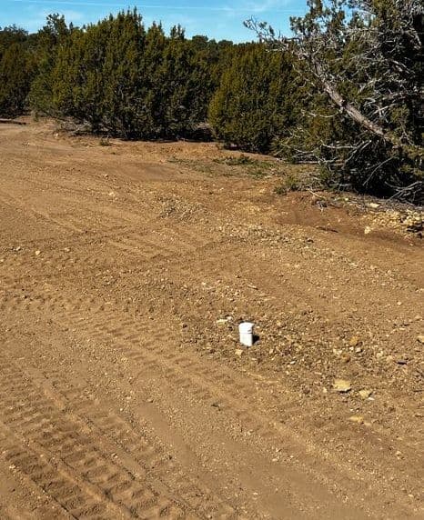 Dirt road with tire tracks and a white container near green shrubs and trees.