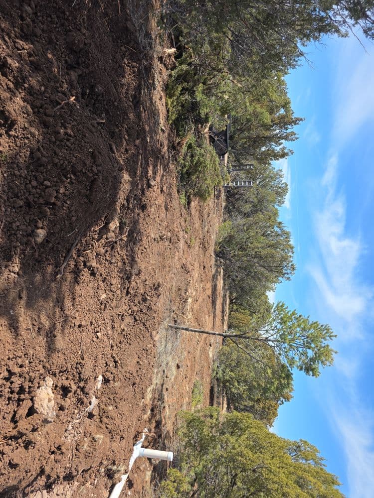 Cleared land with dirt and trees under a blue sky, showcasing outdoor project site development.
