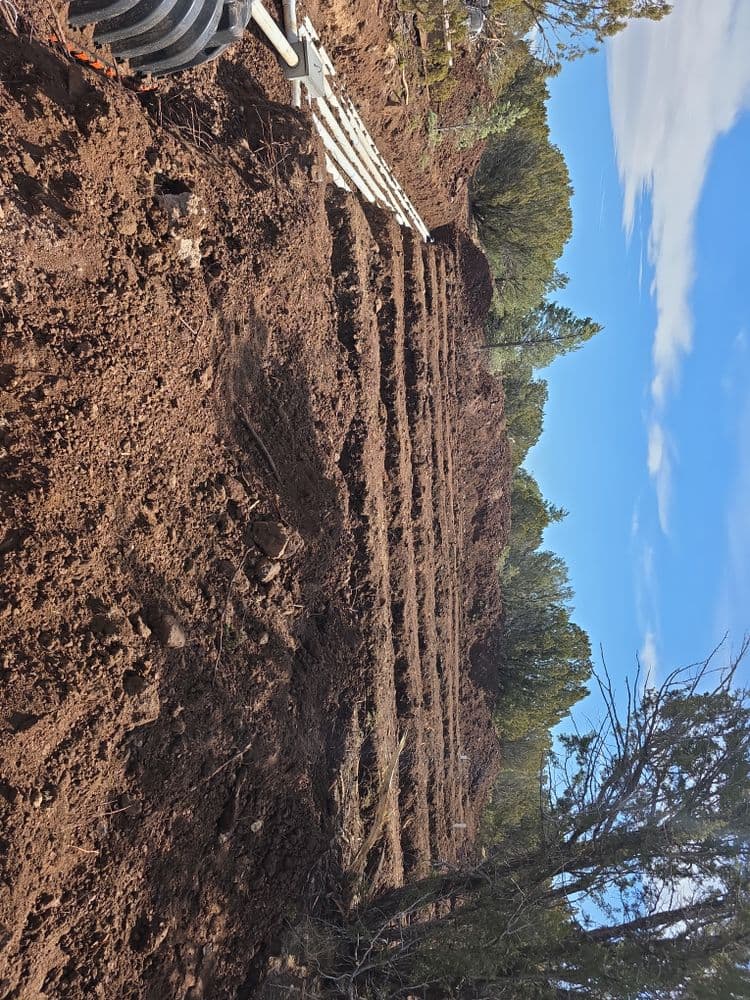Layered soil preparation for gardening, with trees and blue sky in the background.