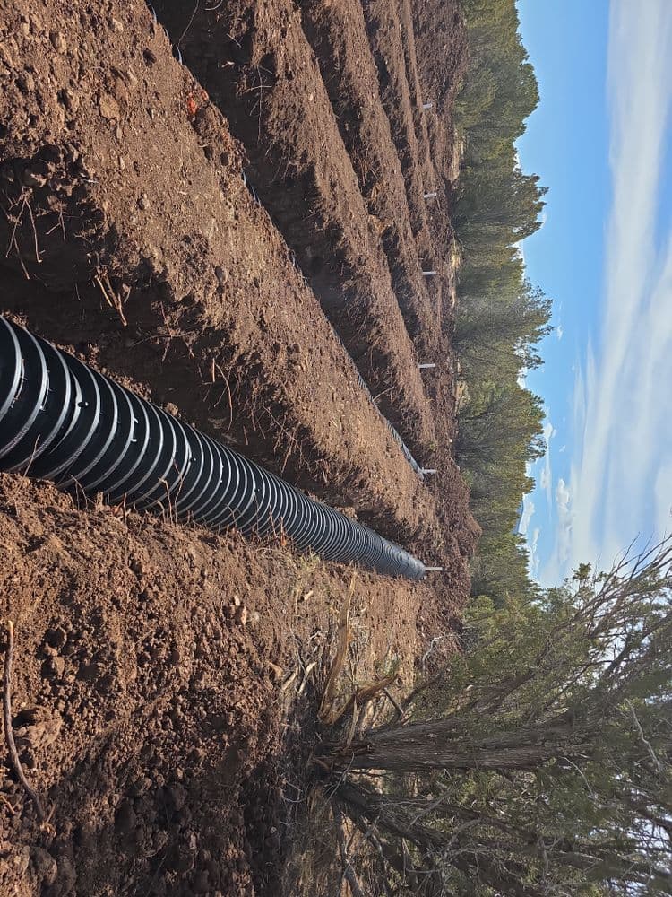 Trenches with black drainage pipes in a forested area under a clear blue sky.