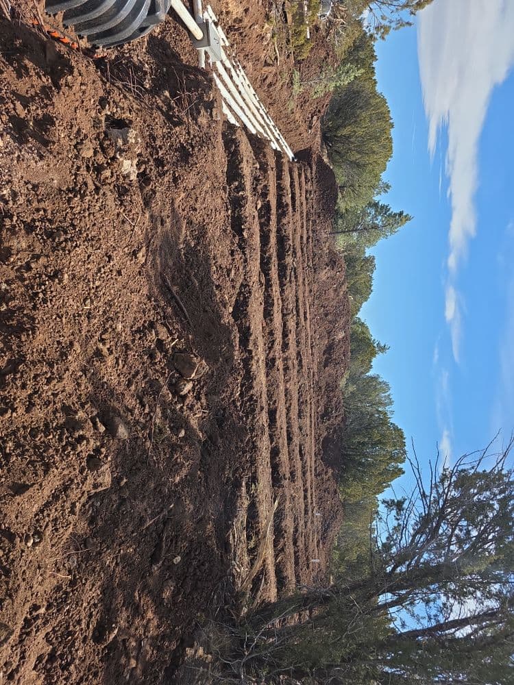 Image of freshly dug earth with layered soil rows under a blue sky and trees in the background.
