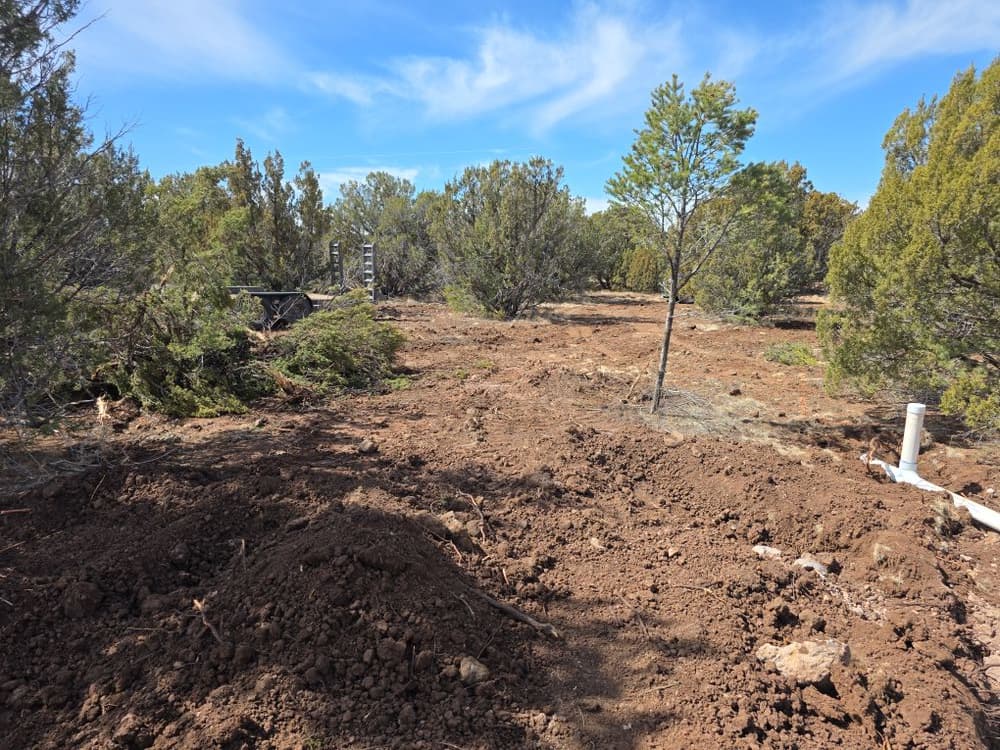 Septic System Innovations for Eco-Friendly Living image