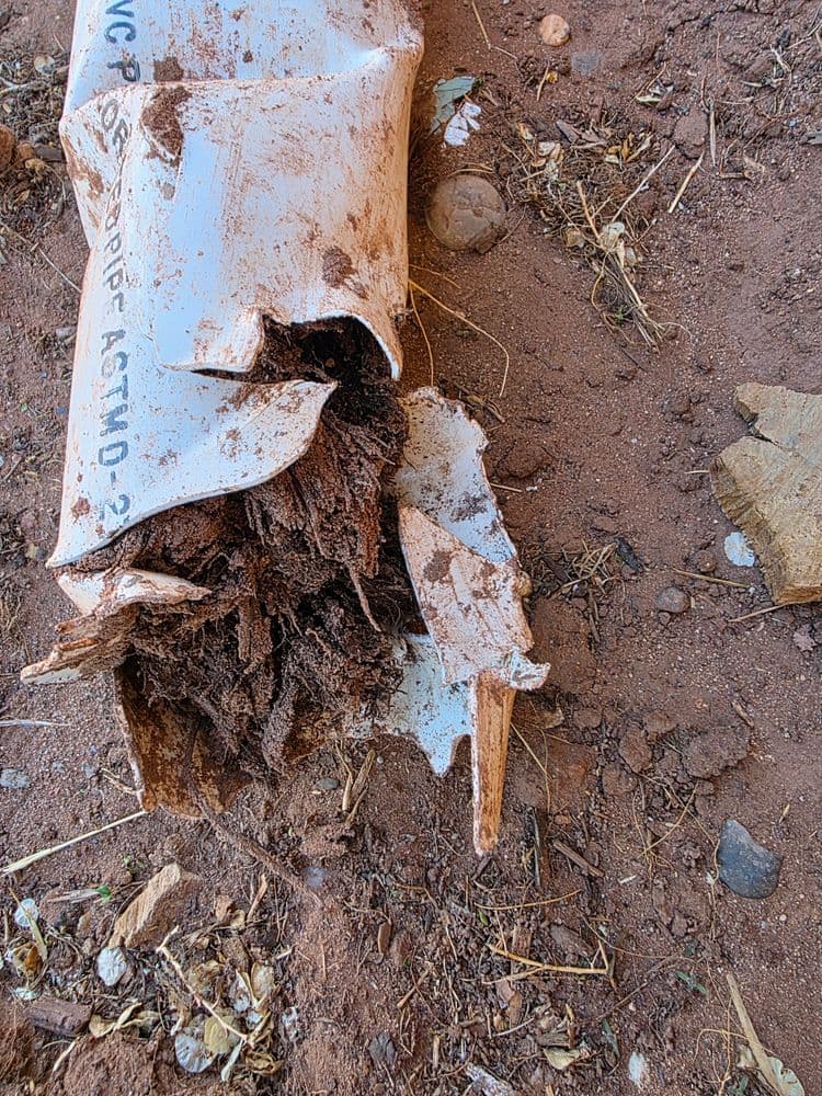 How to Extend the Lifespan of Your Septic System with Preventive Measures image