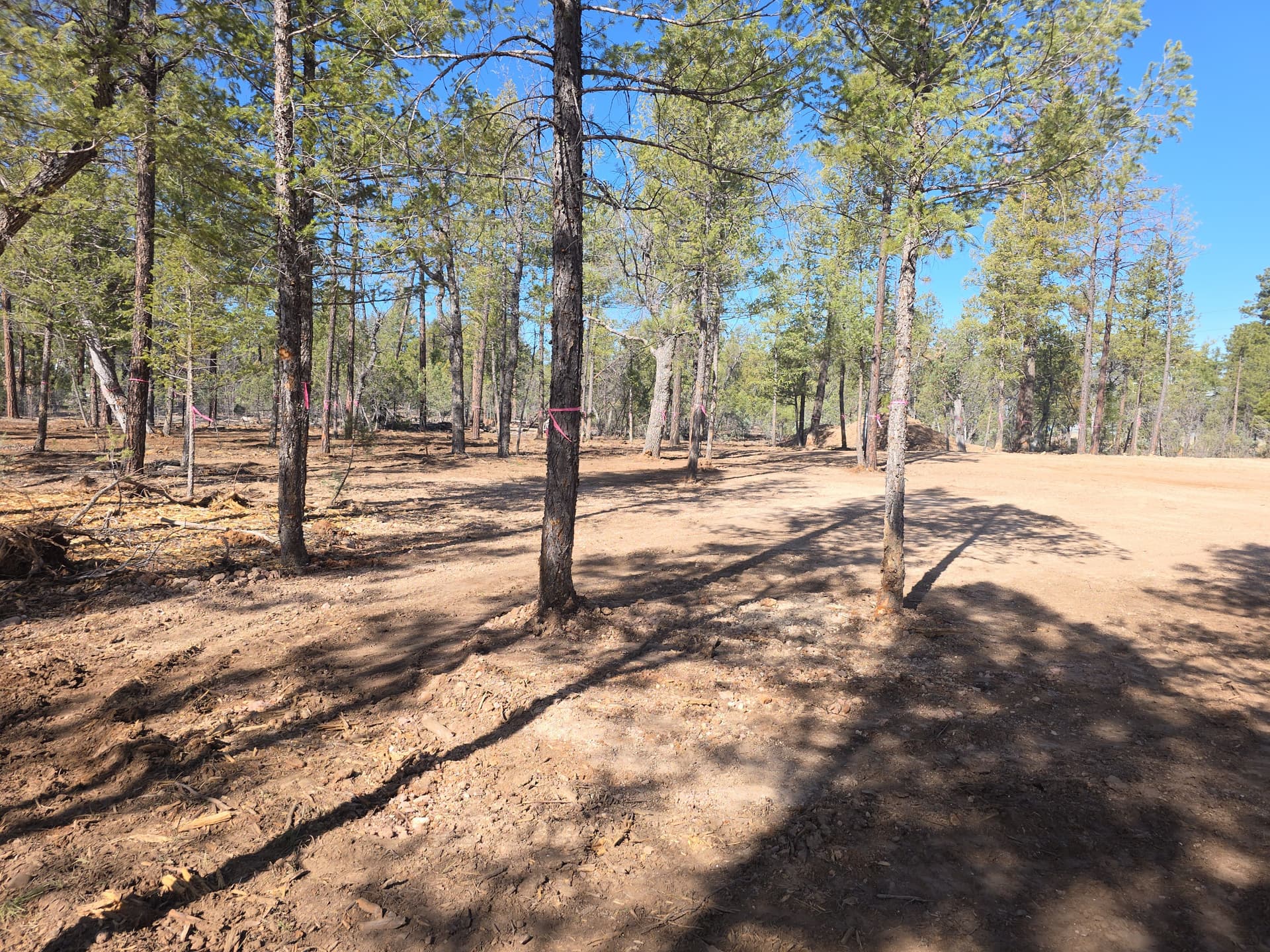 Gallery photos for Fresh Septic System Installation in Pinetop AZ: Image #2